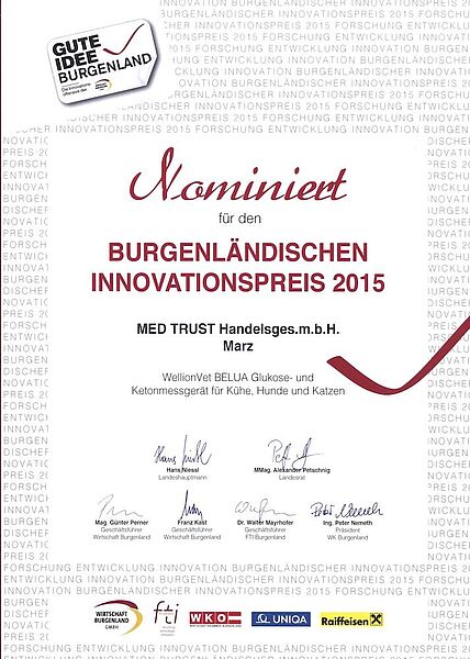 Urkunde 2015 Burgenländischer Innovationspreis MED TRUST