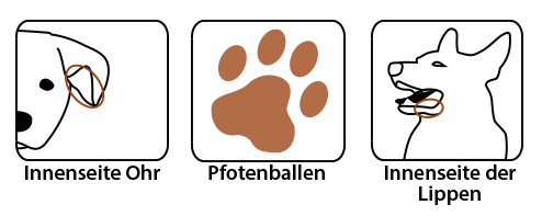 Wellion VET Blutentnahmestellen