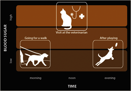 Wellion VET blood sugar time table