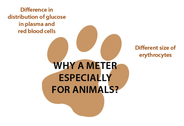 Wellion VET - why a meter especially for animals
